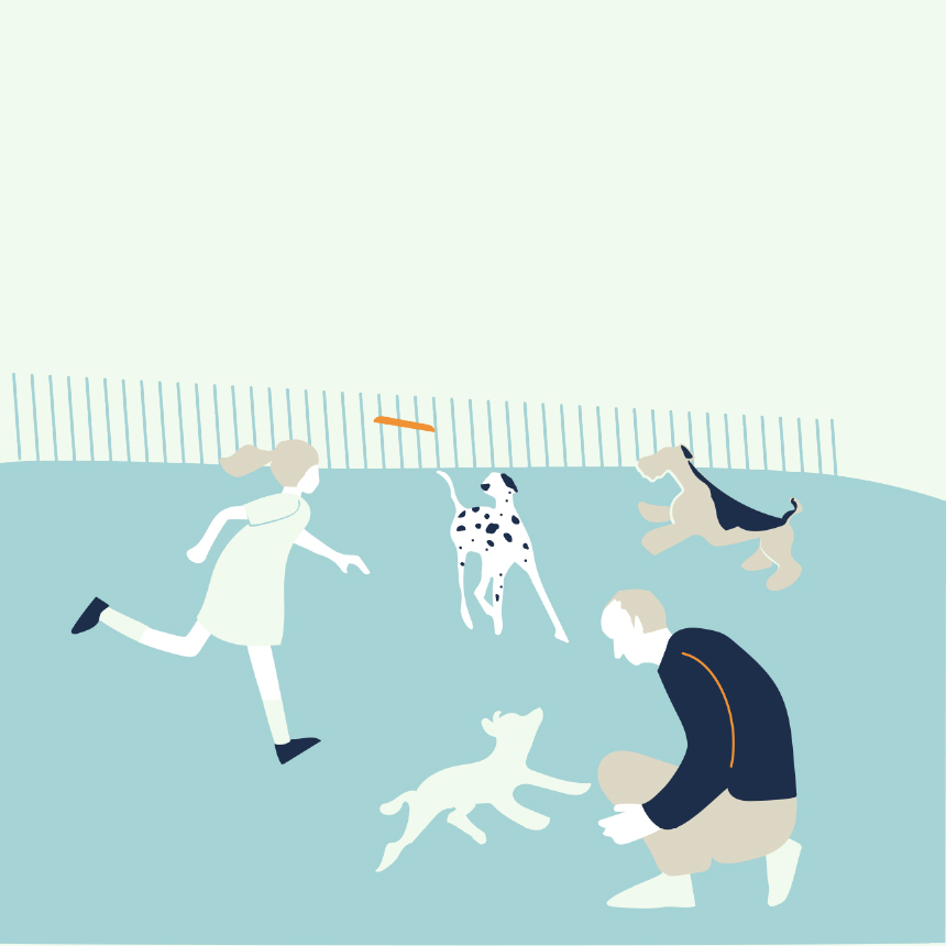 DOG RUN